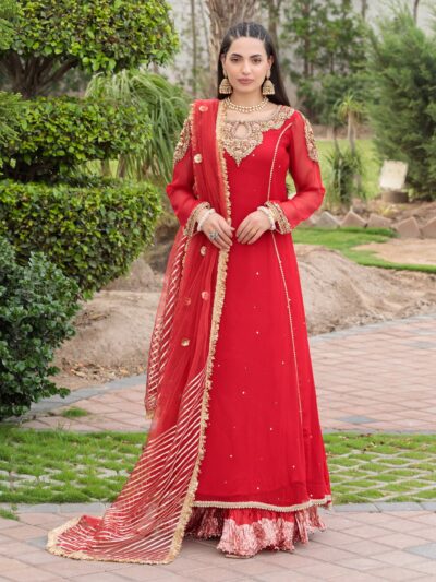 Z-303 Red