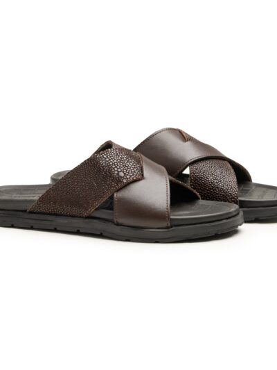 Xcel Brown