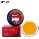 Kashees Super Paint Pot - SPP 09