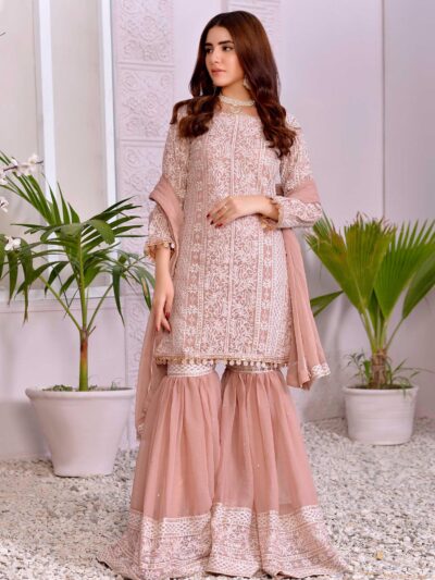Haseens Official Veena