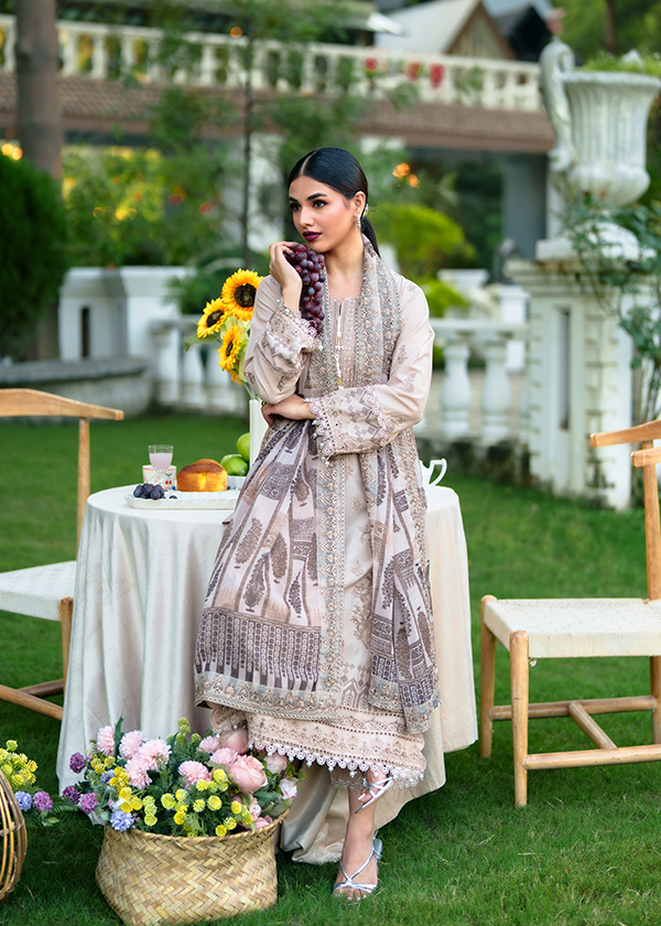 Haseens Official Zayla - Image 3