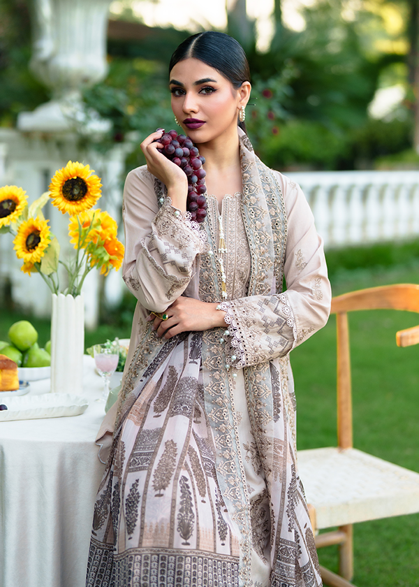 Haseens Official Zayla - Image 7